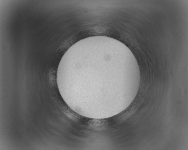 X0000072960672200607211159