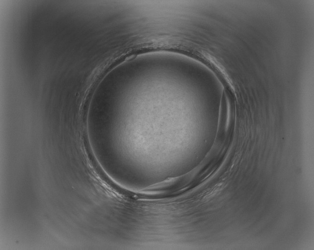 X0000072960673200607211158