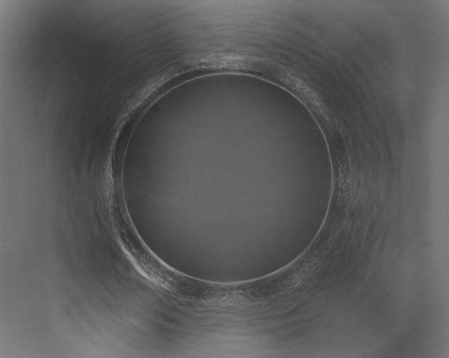 X0000072960674200607211158