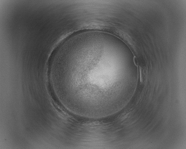 X0000072960675200607211158