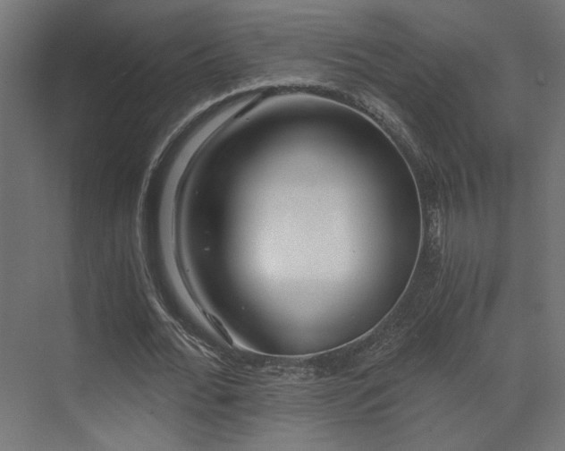 X0000072960676200607211158