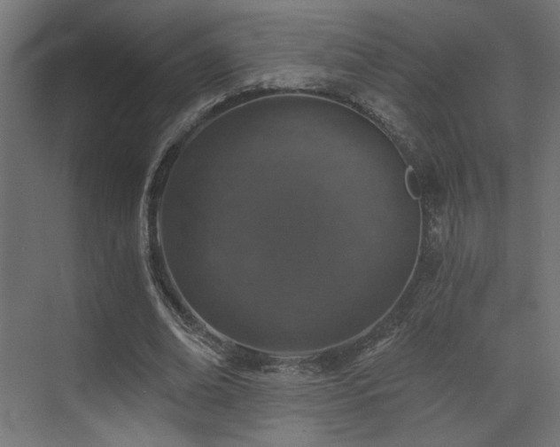 X0000072960678200607211158