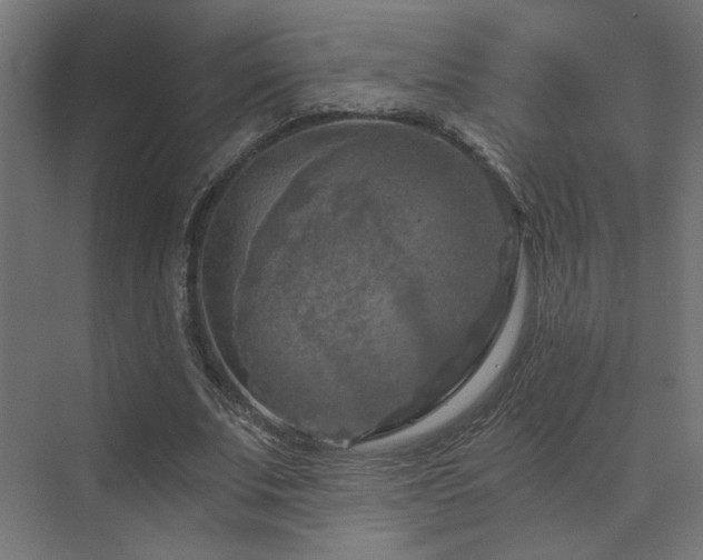 X0000072960679200607211158