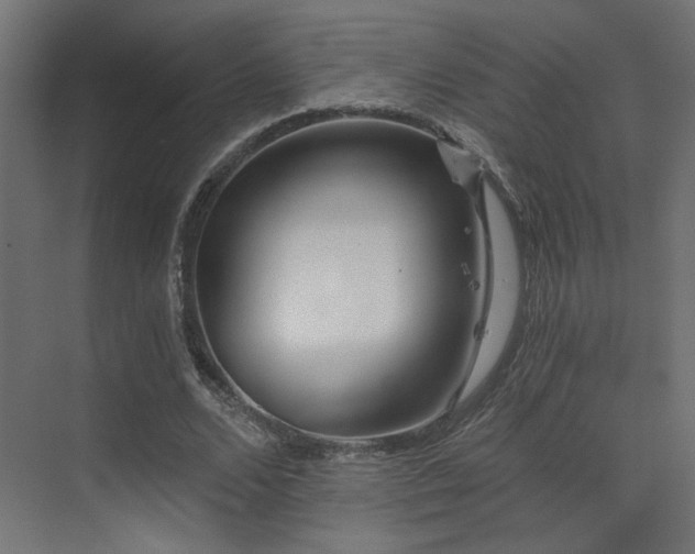 X0000072960680200607211158