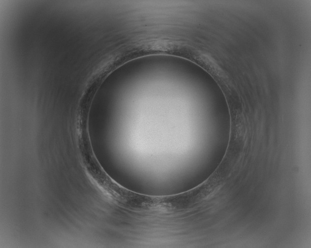 X0000072960683200607211158