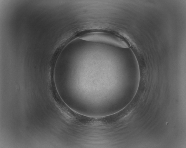 X0000072960685200607211158