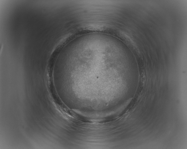 X0000072960688200607211158