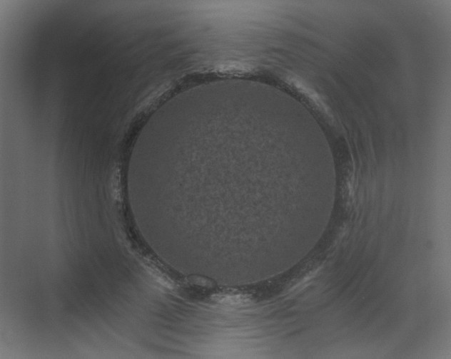 X0000072960689200607211158