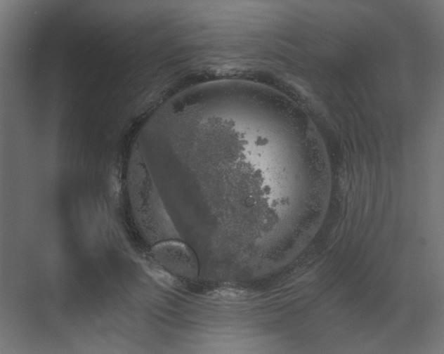 X0000072960691200607211158