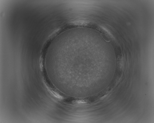 X0000072960692200607211157