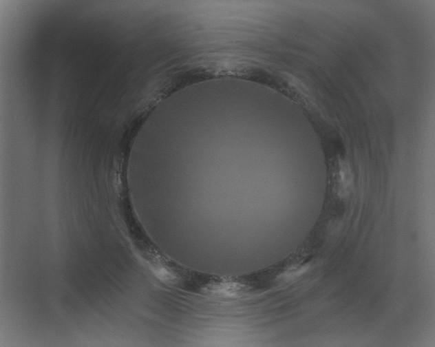 X0000072960695200607211157