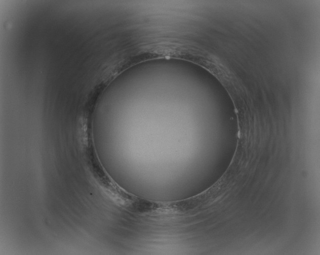 X0000072960696200607211157