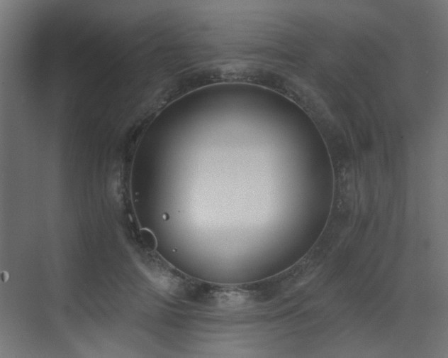 X0000072960698200607211157