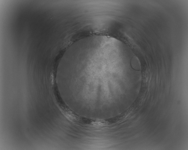 X0000072960703200607211157