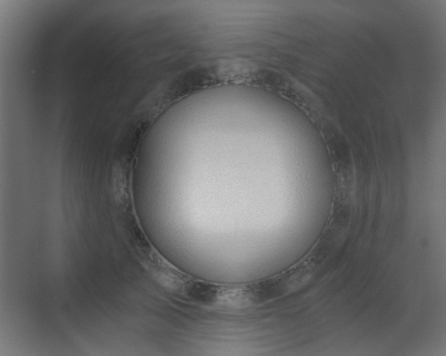 X0000072960705200607211157