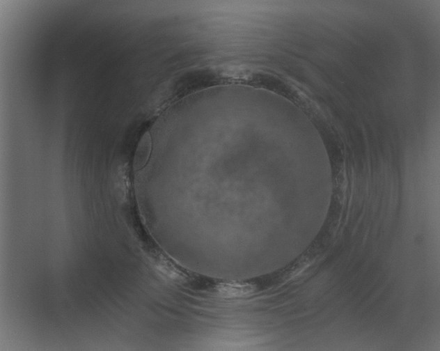 X0000072960707200607211157