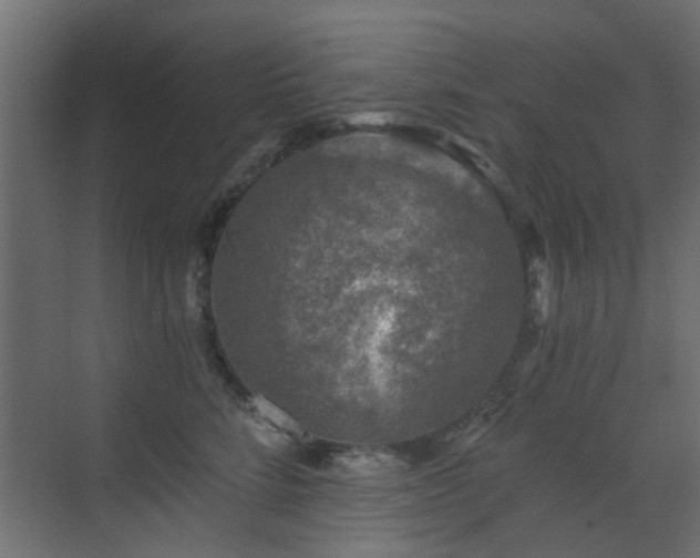 X0000072960712200607211157