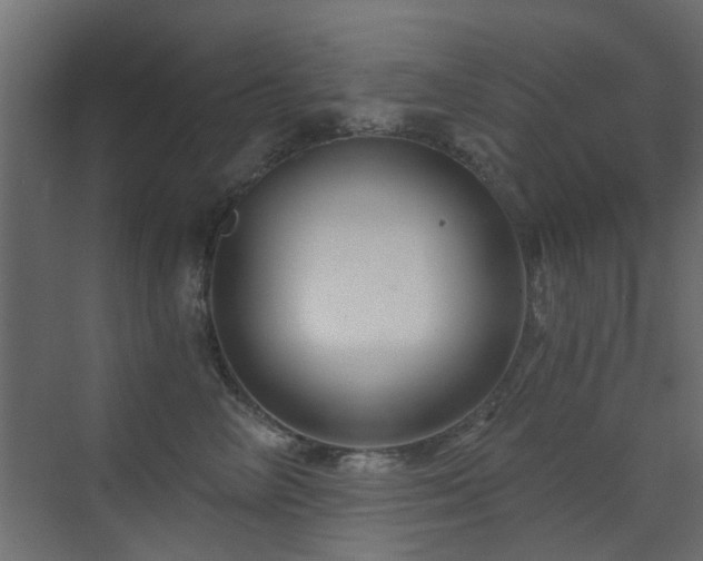 X0000072960714200607211157