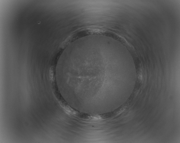 X0000072960715200607211157