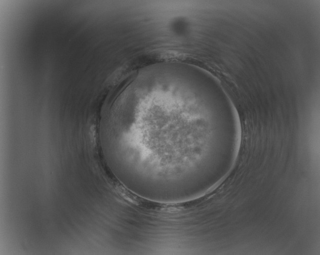 X0000072960716200607211157