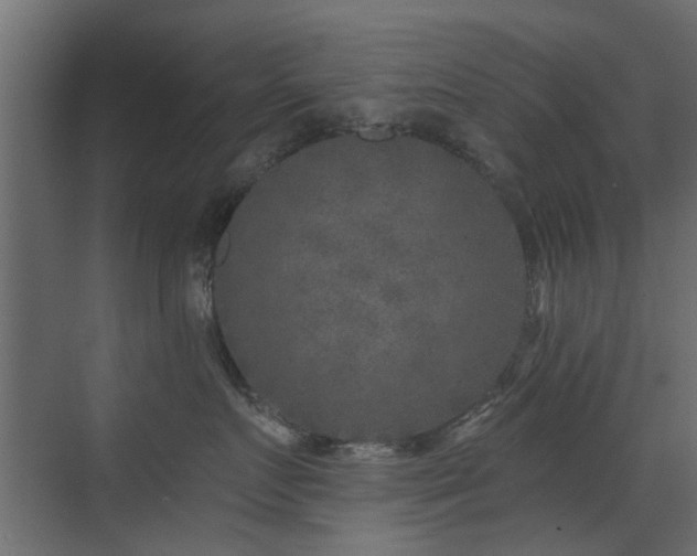 X0000072960719200607211157