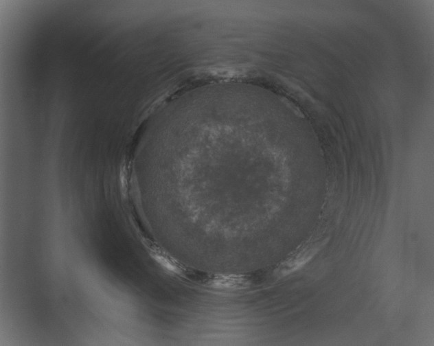 X0000072960720200607211157