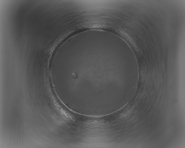 X0000072960721200607211156