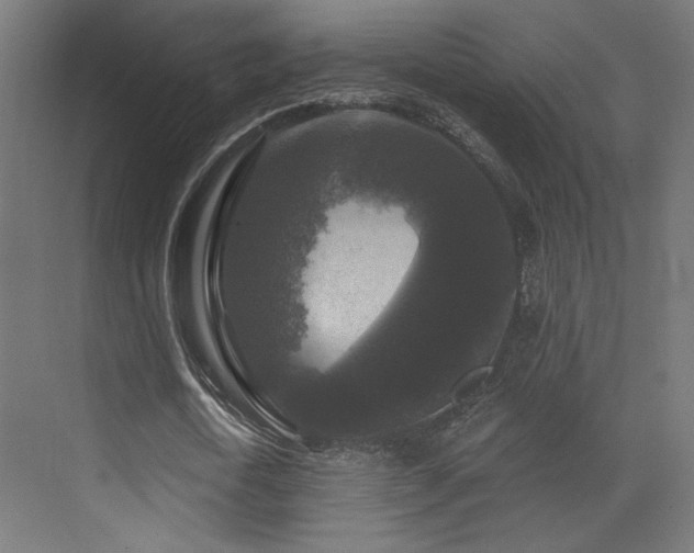 X0000072960722200607211156