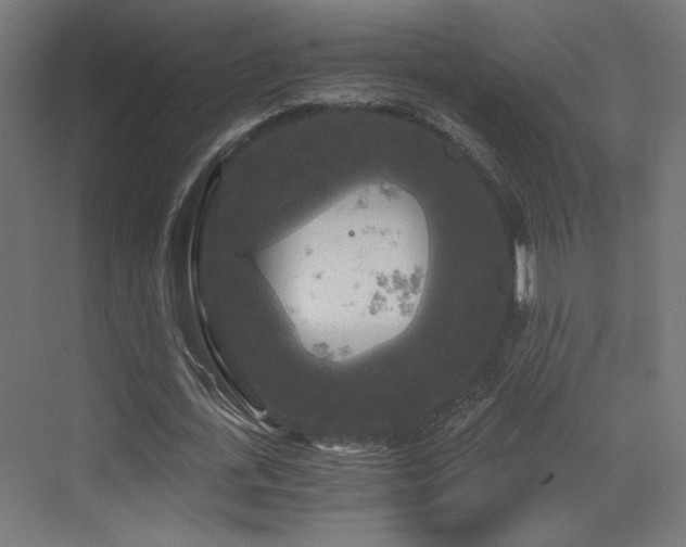 X0000072960723200607211156