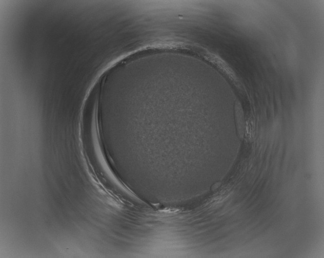 X0000072960724200607211156