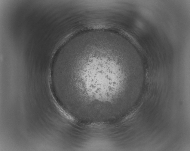 X0000072960725200607211156