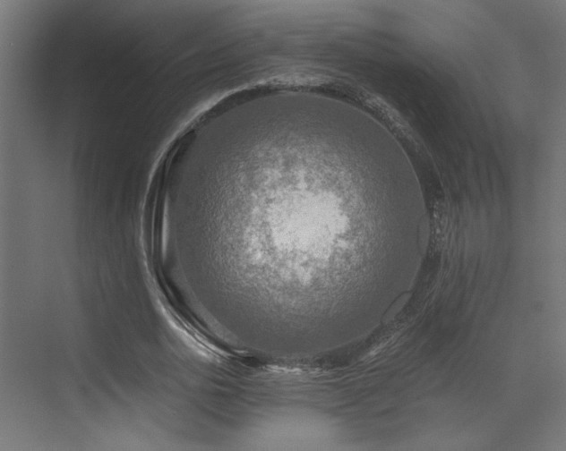 X0000072960726200607211156