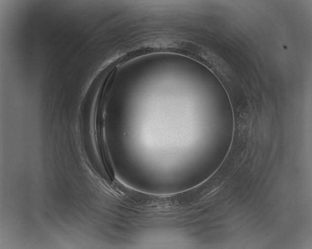 X0000072960727200607211156