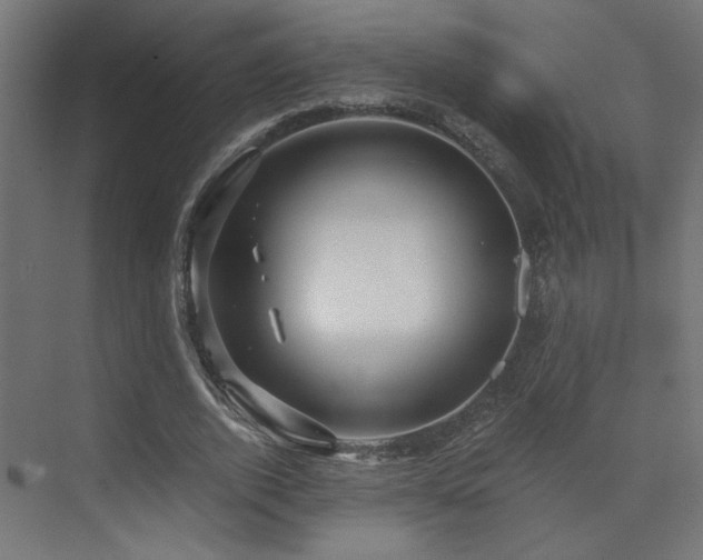 X0000072960728200607211156