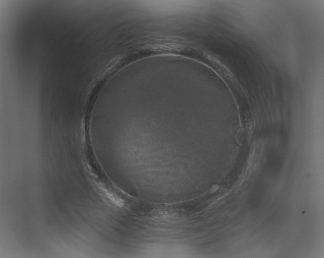 X0000072960729200607211156