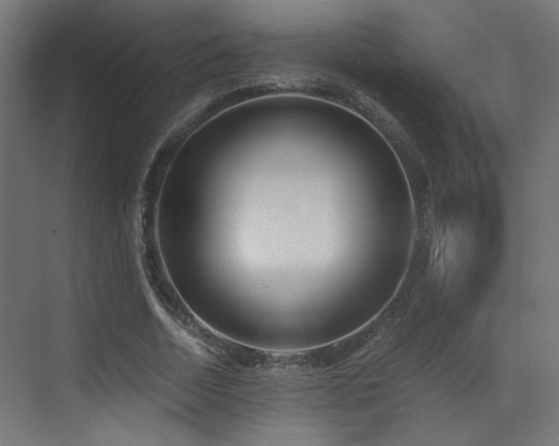 X0000072960730200607211156