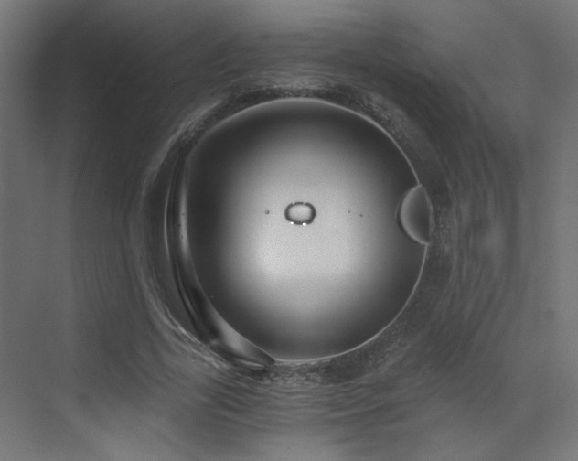 X0000072960731200607211156