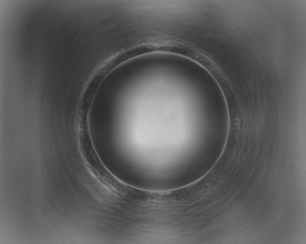 X0000072960732200607211156