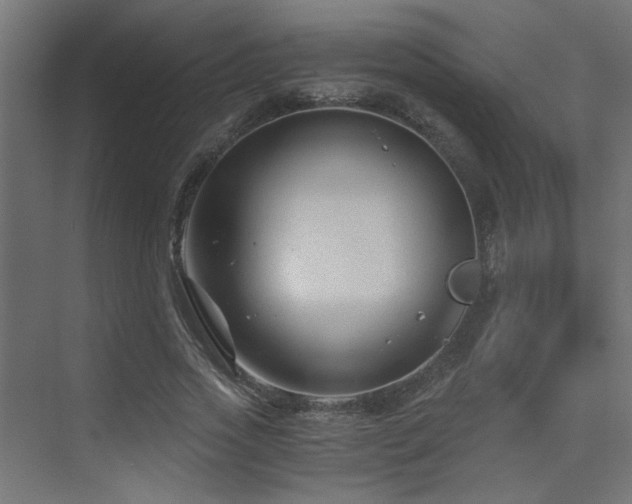 X0000072960733200607211156