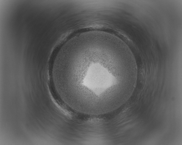 X0000072960734200607211156