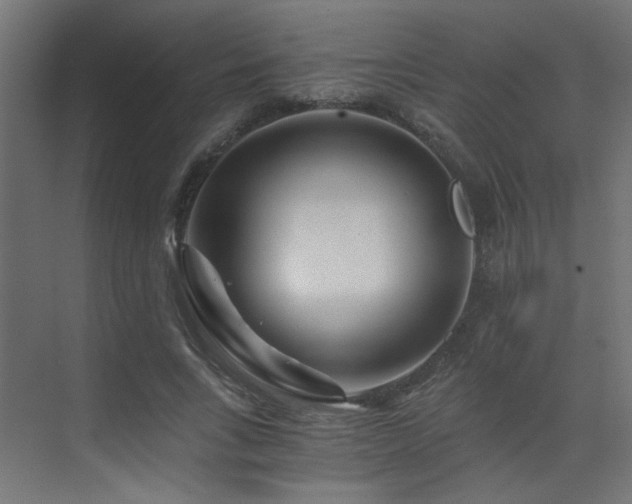 X0000072960735200607211156