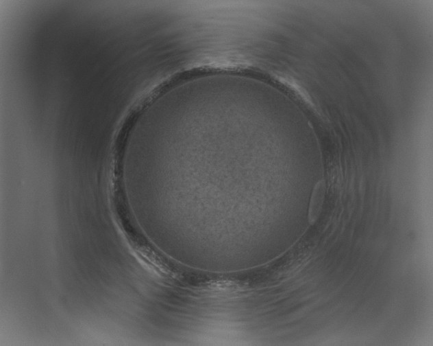 X0000072960736200607211156