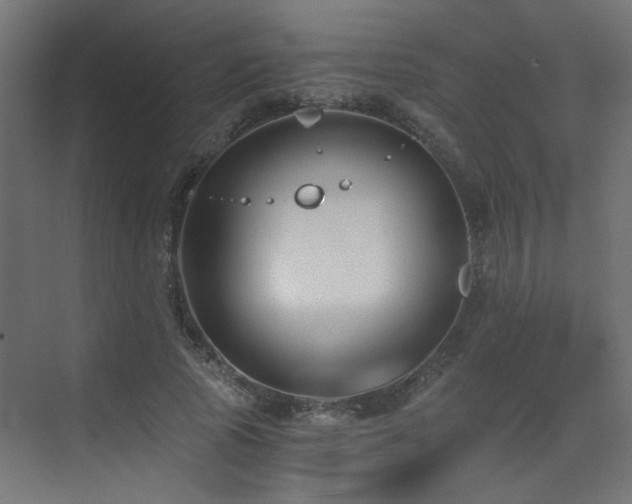 X0000072960737200607211156