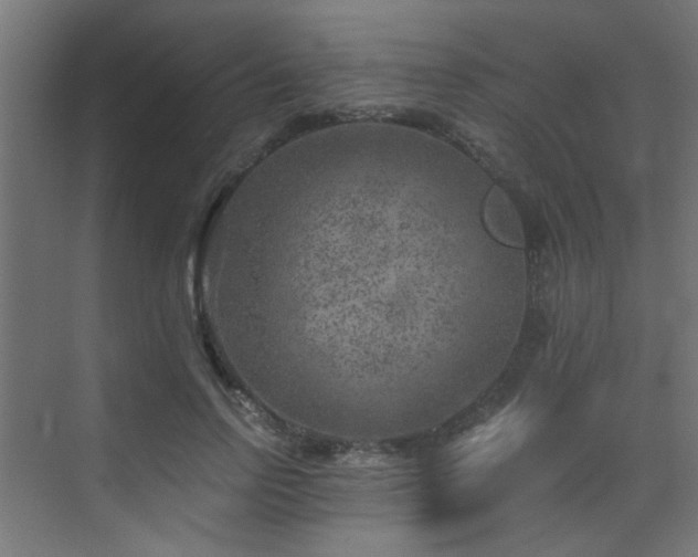 X0000072960742200607211157