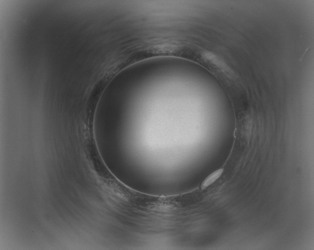 X0000072960743200607211157