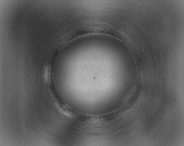 X0000072960745200607211157