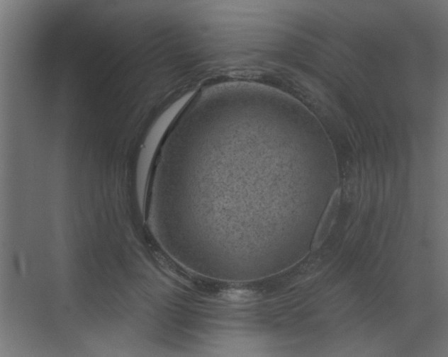 X0000072960748200607211157