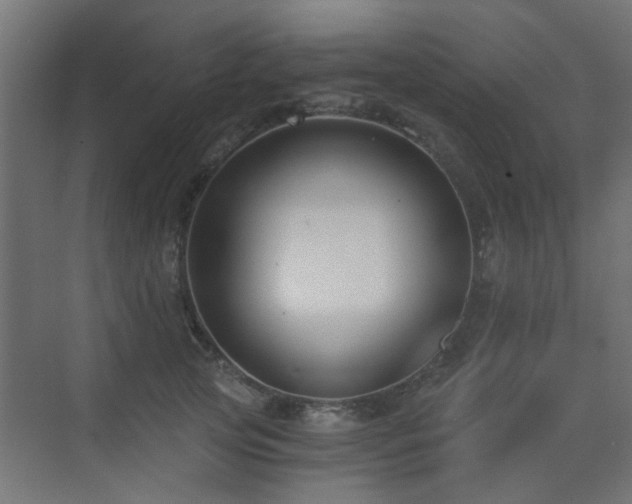 X0000072960753200607211157