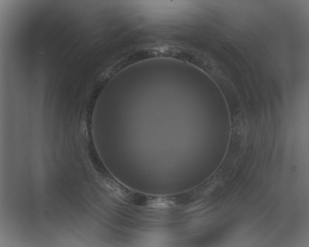 X0000072960754200607211157