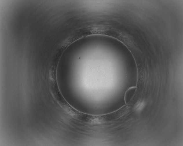 X0000072960755200607211157